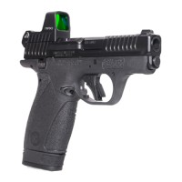 Viridian RFX 1 Custom Smith & Wesson Bodyguard 2.0