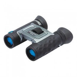 Steiner Bluhorizons 10x26