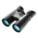 Steiner Bluhorizons 10x42
