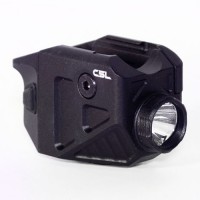 Viridian C5L Custom for Sig P365 with SAFECharge