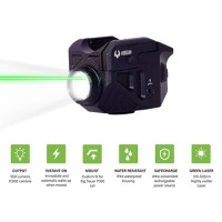 Viridian C5L Custom for Sig P365 with SAFECharge