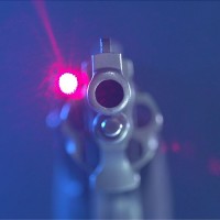 Viridian Red Grip Laser for NAA Magnum Frame