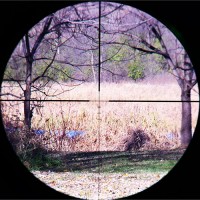 Viridian EON 4-12x40 Green Illuminated Reticle