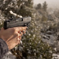 Viridian RFX11 Custom Walther PDP & WMP Green Dot